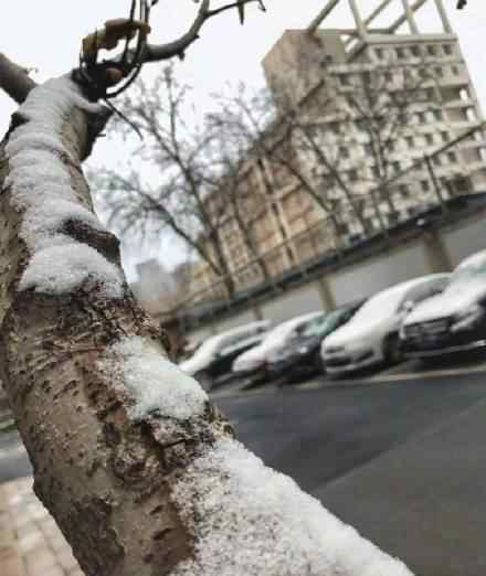 北京鼠年第一场雪 这意味着什么?