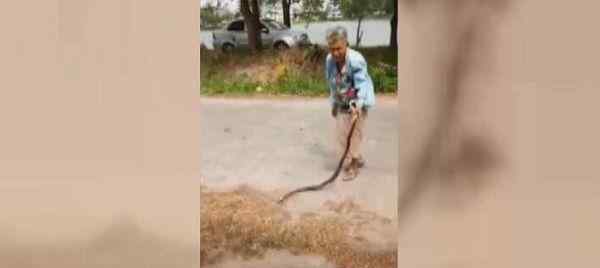 74岁奶奶徒手抓蛇 徒手抓住蛇尾对着地面用力抽打