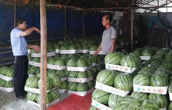 警察帮瓜农卖1.5万斤西瓜 “卖瓜行动”得到群众一致好评