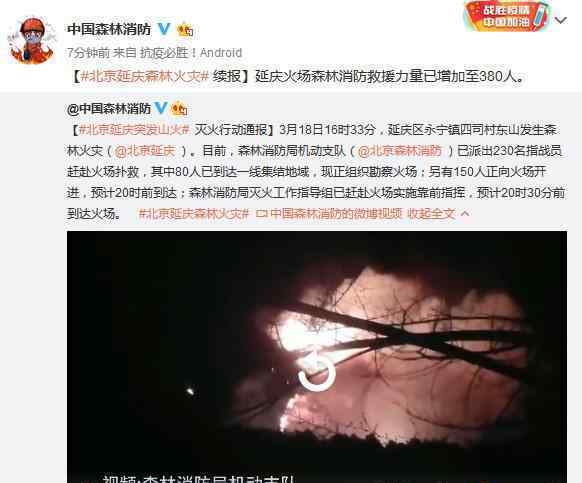 北京延庆森林火灾 究竟发生了什么?