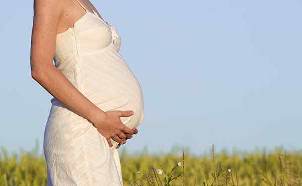 胎儿五个月 怀孕五个月宝宝有多大？