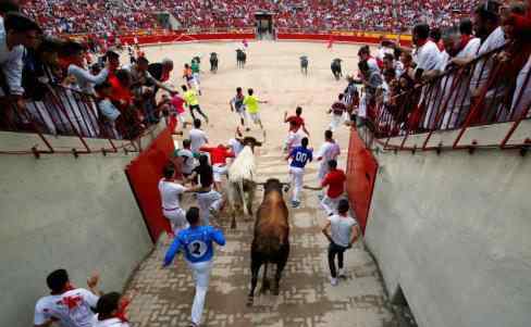 民众为公牛当脚垫 西班牙奔牛节民众用生命在狂欢