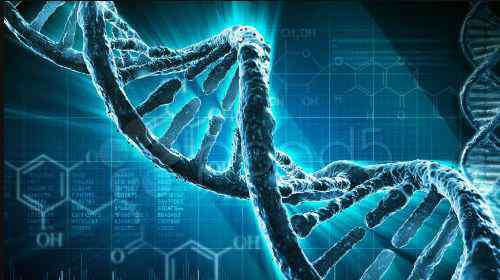 遗传物质 DNA简史：遗传物质的发现之旅——纪念DNA双螺旋结构发现66周年