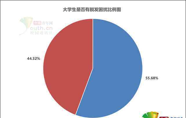 超5成大学生脱发 还原事发经过及背后原因！