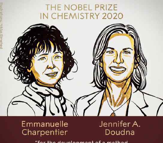 2020年诺贝尔化学奖揭晓 过程真相详细揭秘！