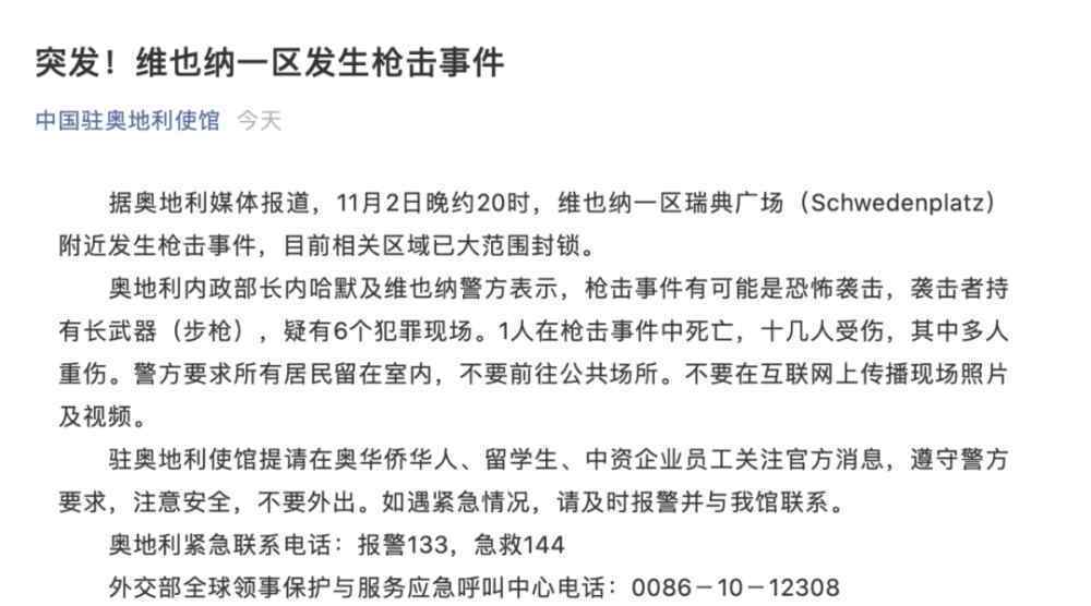 圣战分子宣布为维也纳袭击负责 事情的详情始末是怎么样了！