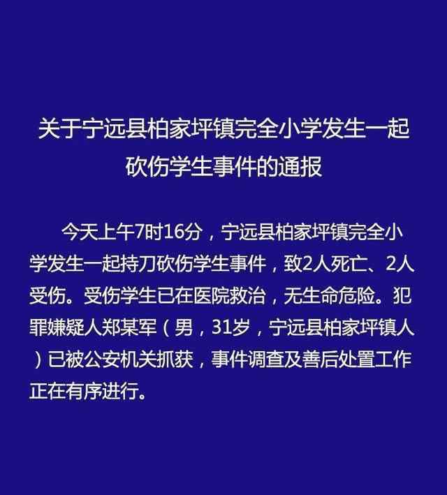 湖南一小学砍人事件 究竟是怎么一回事?