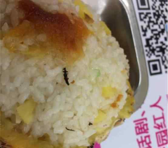 学霸食堂吃出虫子 给校长的邮件体现了他的专业知识