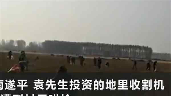 承包商收花生遭数百村民哄抢 村干部的一句话令人无言以对