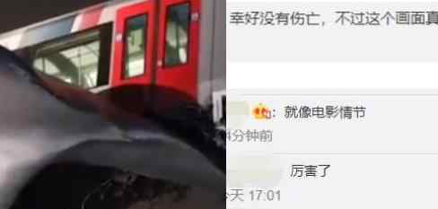 荷兰轻轨冲出轨道被鲸鱼雕像接住 网友：厉害了