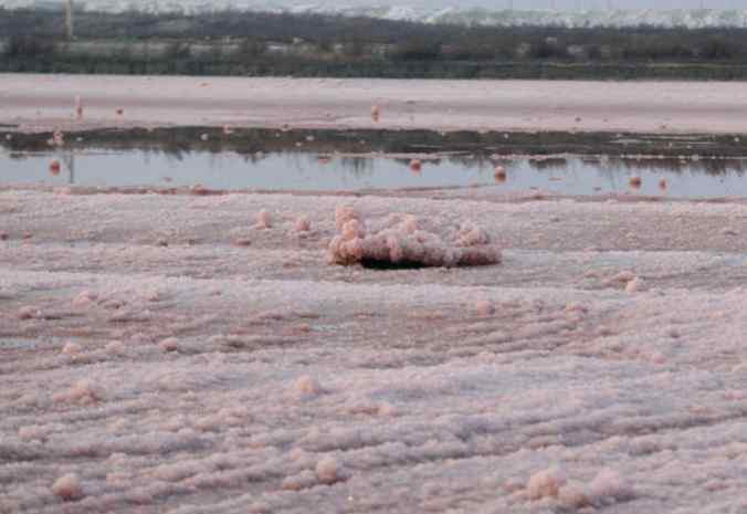 中国死海变玫瑰湖 现晶莹剔透的“硝花”独特现象