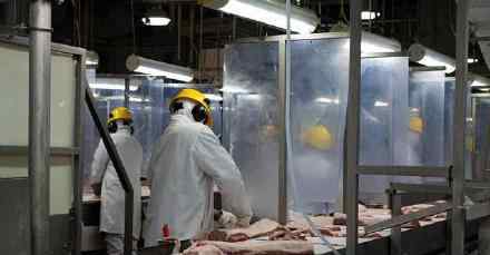 加拿大企业停止对华猪肉出口 事件的真相是什么？