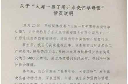 用开水烫怀孕母猫男子被开除 具体怎么回事