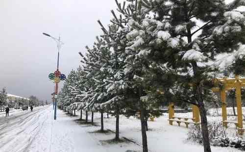 中国最冷小镇迎来今秋首场大雪 最冷小镇在哪里