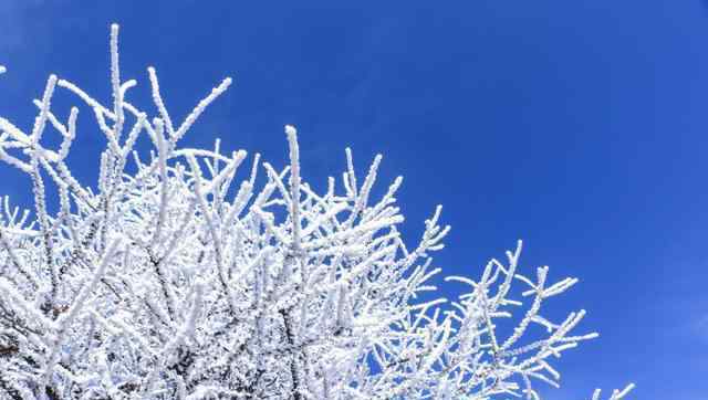 秦岭太白山雪后雾凇美景 浪漫唯美仿佛置身冰雪童话世界