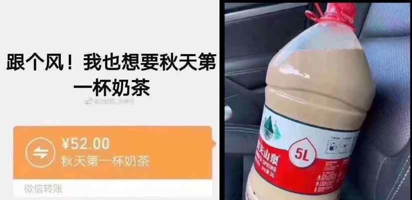 我也想要秋天的第一杯奶茶图片 红包套路表情包拿走不谢