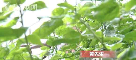 男子相亲和女孩一顿吃掉1万多 爽快结账后对方举动让他着急