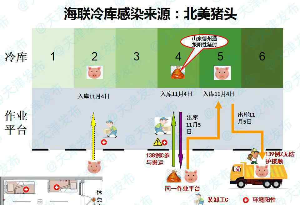 天津海联冷库感染来源为北美猪头 究竟是怎么一回事？