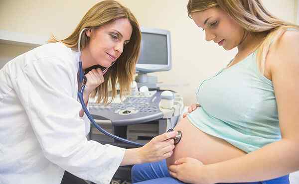 孕妇可以吃百合吗 鲜百合怀孕初期能吃吗
