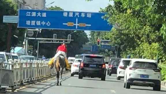东莞男子骑马上班被交警约谈，网友：马路不让马走？