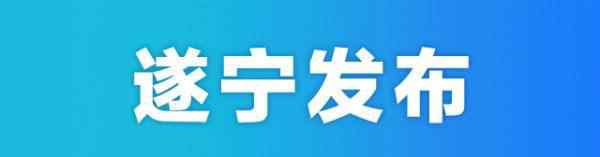 射洪教育网 2020年射洪市城区小学考调在编在职教师的公告出炉！转需