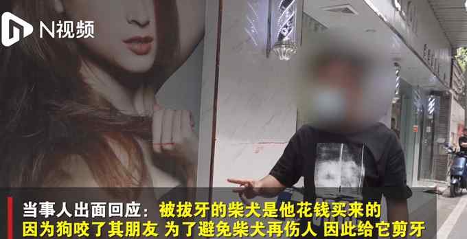 男子用铁钳给柴犬拔牙 回应理直气壮 网友炸锅