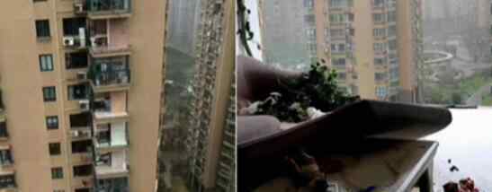  台风来袭吹走小区内多家窗户 女子在11楼被吹落坠楼死亡