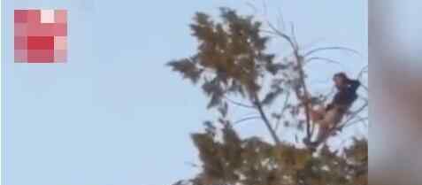 男子逛公园发现18米树顶有物体在动 镜头拉近后直冒冷汗