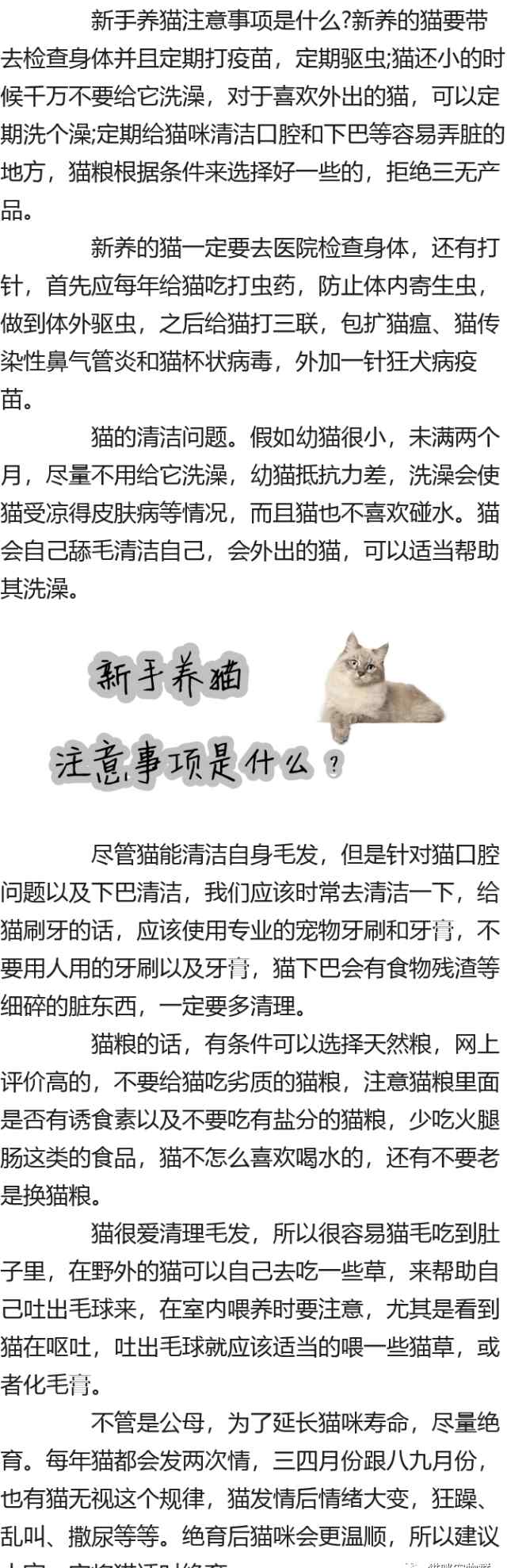 初学者养猫注意事项 新手养猫注意事项是什么