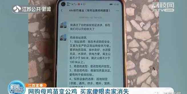 男子网购300只母鸡苗 几个月后傻眼了！还想着鸡生蛋蛋生鸡