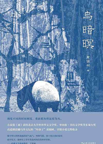 藤蔓缠绕字体 刘奎评《乌暗暝》︱黄锦树的树，历史的藤蔓缠绕