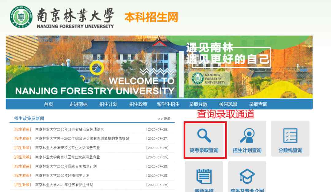 南京林业大学招生网 关于录取查询通道的贴心提醒