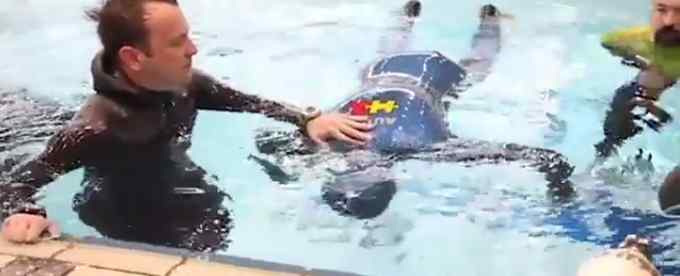 克罗地亚男子水下闭气24分33秒 破世界纪录 网友惊呆：属鱼的？