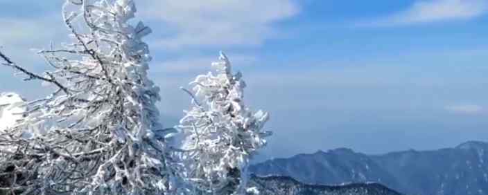 秦岭太白山雪后雾凇美景 网友直呼是仙境具体长什么样