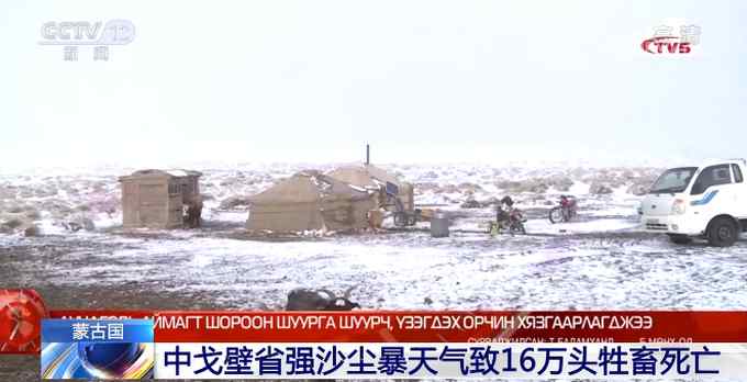 蒙古国强沙尘暴致16万头牲畜死亡 另有约23万头仍无下落