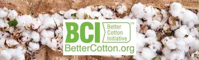BCI总部对华强硬内幕  无限期停牌新疆地区“良好棉花”认证 这意味着什么?