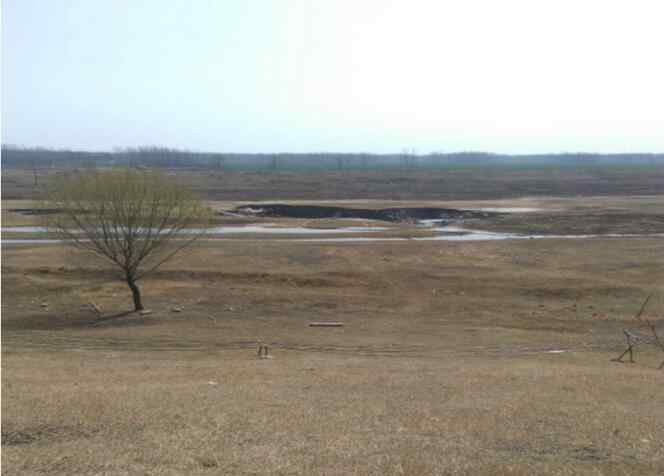 长垣县河务局护堤项目不按施工图施工私自采挖河道