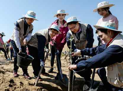 大韩航空连续第十年在内蒙古库布其沙漠植树造林