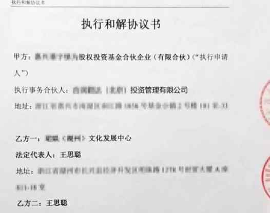 王思聪被执行和解  什么被执行案件具体什么情况