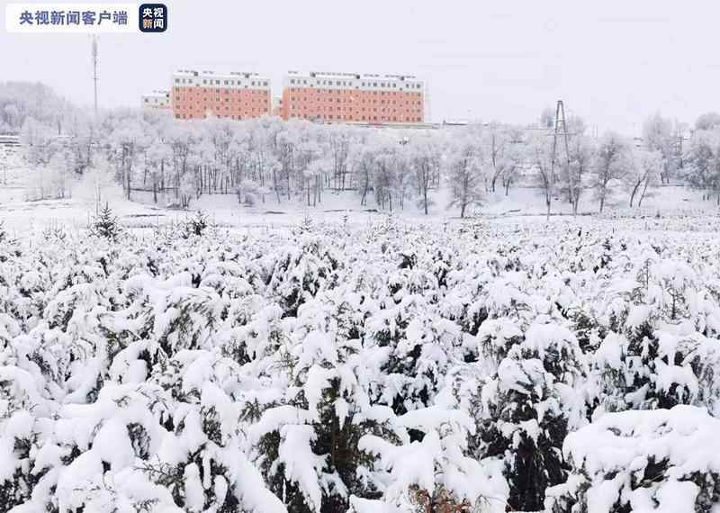 甘肃发布暴雪黄色预警 部分交通受影响