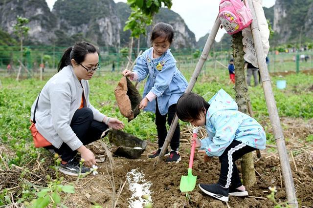 精彩图片 崇左市第六届全民义务植树文明实践活动圆满收官，一大波精彩图片来袭