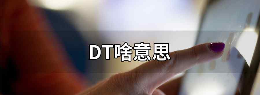 dt啥意思