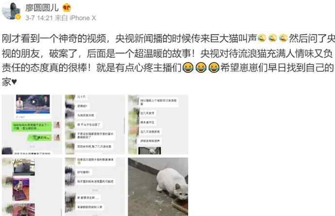 央视 央视猫叫上热搜 全国人民一起听猫叫云吸猫哪里来的猫