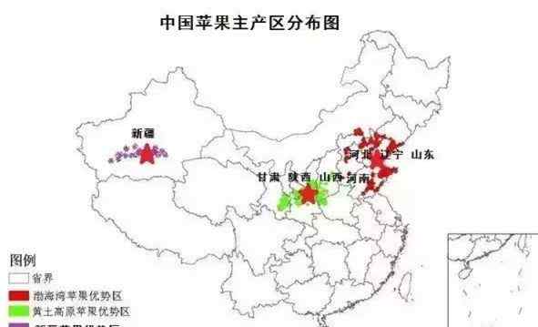 陕西苹果 一个陕西苹果的自白