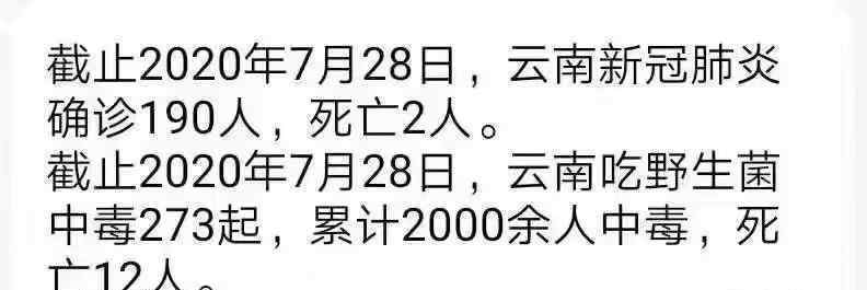 云南吃野生菌中毒死亡人数超新冠 背后原因是什么