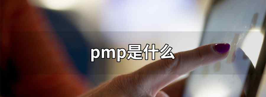 pmp是什么