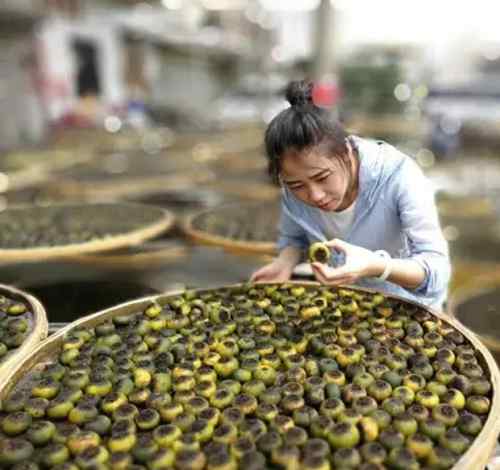 茶叶烘干机设备 茶叶热泵烘干机让茶叶烘干更简单快捷