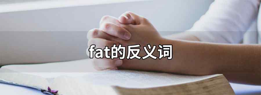 fat的反义词