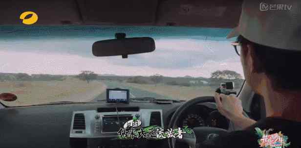 非洲旅游 去非洲旅游，到底安全不安全