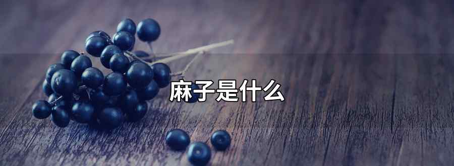 麻子是什么